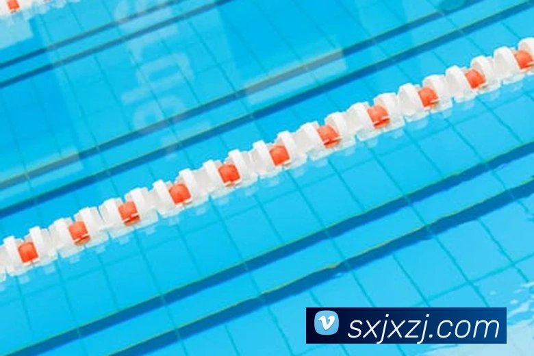 多多国际app下载官网平台生态图