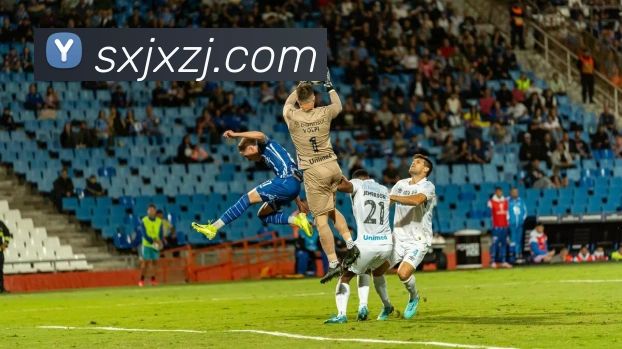 多多国际app下载官网全站App 多多国际app下载官网全站App